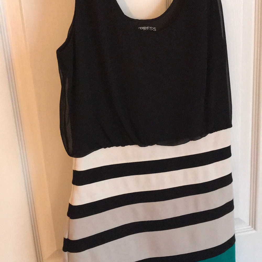 Express Dress - Picture 2 of 3